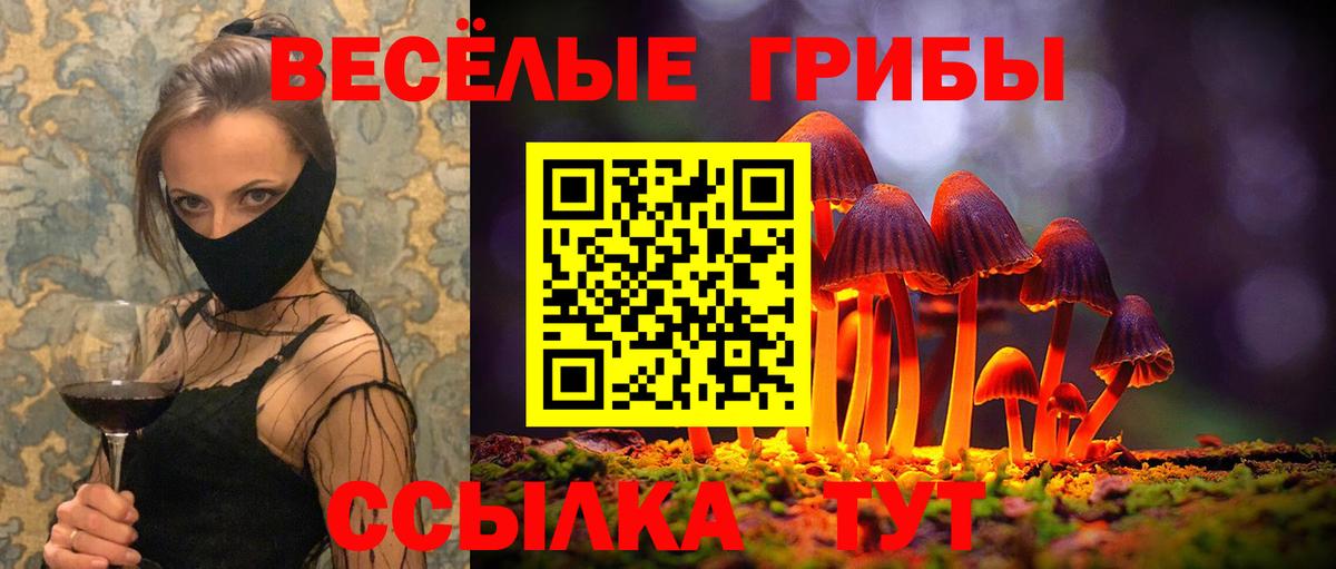 Галлюциногенные грибы GOLDEN TEACHER Владимир